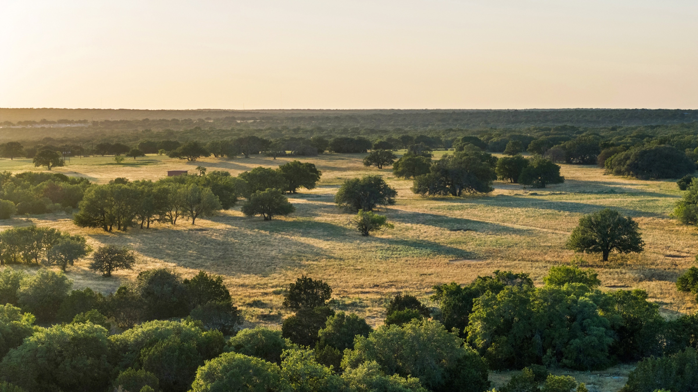 Rolling Texas Hill Country landscape at golden hour